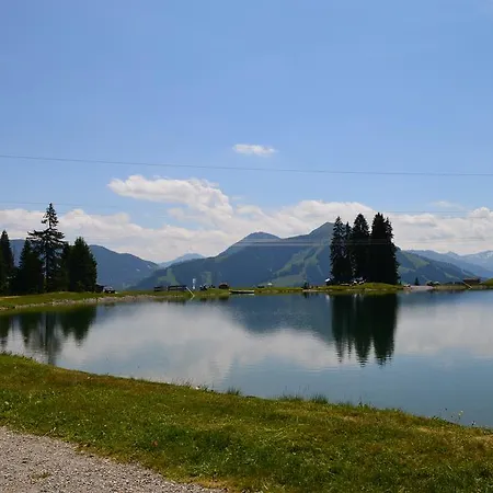 Apartment Haus Brugglbach Kirchberg in Tirol